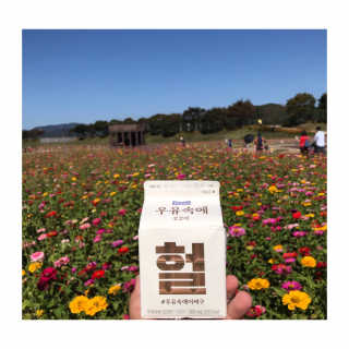 [매일유업] 우유속에 어쩌구_3개 세트 모바일 쿠폰 — 5점을 준 리뷰어가 2019년 10월 올린 사용 사진