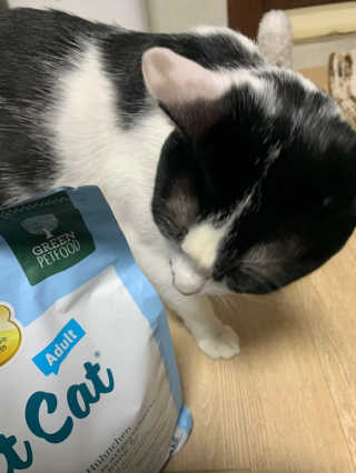 그린펫푸드 인섹트캣 글루텐프리（1.2KG） — 5점을 준 리뷰어가 2019년 9월 올린 사용 사진