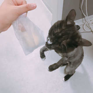 이잉룽님이 올린 리뷰 사진 4
