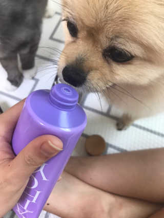 민토리님이 올린 리뷰 사진 3
