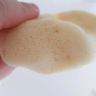 박수인님이 올린 리뷰 사진 2