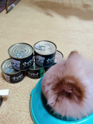[펫토리아] BEST 한캔뚝딱 강아지 캔간식 — 5점을 준 리뷰어가 2019년 3월 올린 사용 사진