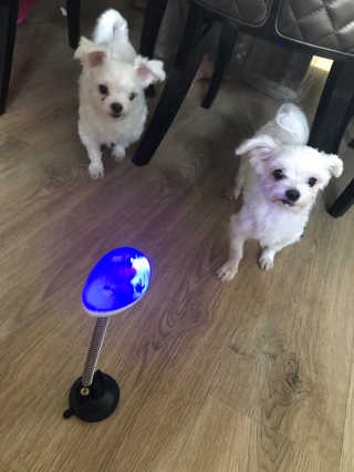 농이님이 올린 리뷰 사진 1