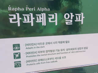 안나님이 올린 리뷰 사진 4