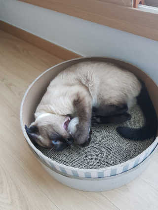 사키나이리님이 올린 리뷰 사진 2
