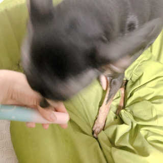 김나횽님이 올린 리뷰 사진 3