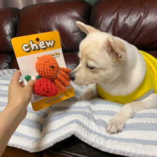 지우닝님이 올린 리뷰 사진 3