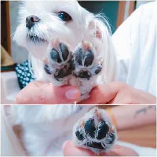 수효니잉님이 올린 리뷰 사진 4
