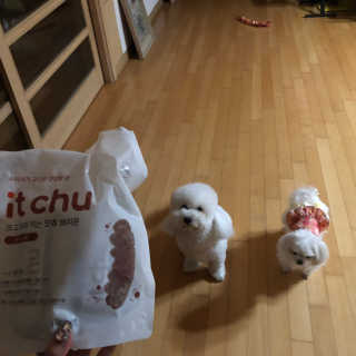 2020님이 올린 리뷰 사진 1