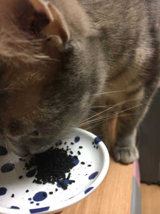 타마마이등병님이 올린 리뷰 사진 4