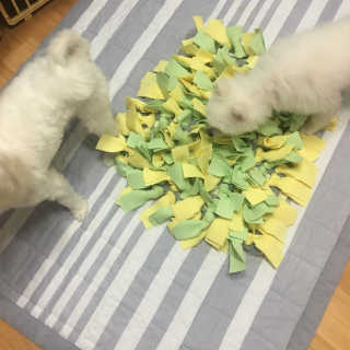 가닝님이 올린 리뷰 사진 3