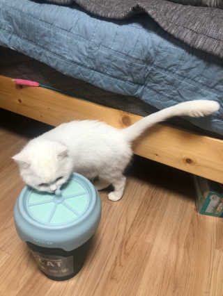 리쩡님이 올린 리뷰 사진 3