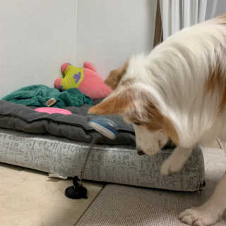 떡볶이죠아님이 올린 리뷰 사진 1