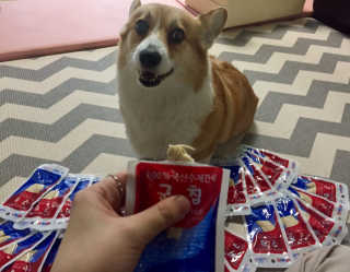 백곰포비님이 올린 리뷰 사진 1