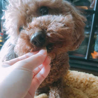 은치치님이 올린 리뷰 사진 2