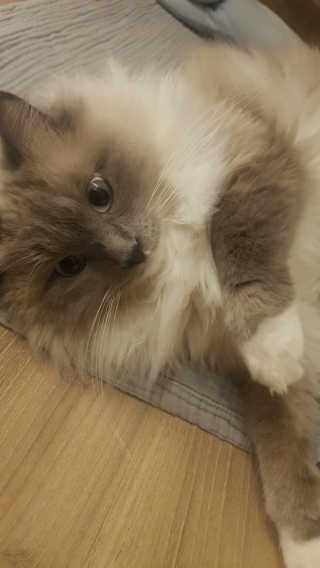 지니님이 올린 리뷰 사진 3