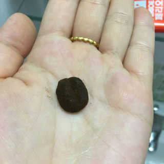 이다솜님이 올린 리뷰 사진 3