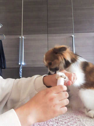 백승창님이 올린 리뷰 사진 3