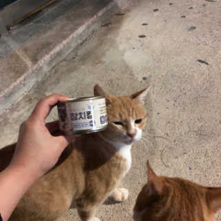 김다경님이 올린 리뷰 사진 3