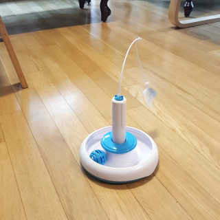 파랑새님이 올린 리뷰 사진 2
