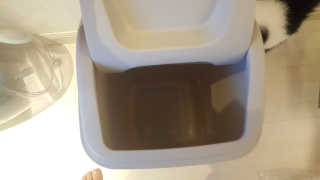 창신리빙 프랑코 퍼블릭 스윙 휴지통 10L, 25L, 35L — 5점을 준 리뷰어가 2019년 9월 올린 사용 사진