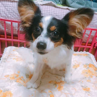 마법의성님이 올린 리뷰 사진 2