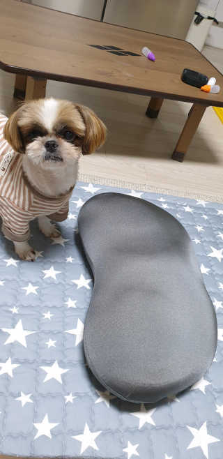 구산댁님이 올린 리뷰 사진 3