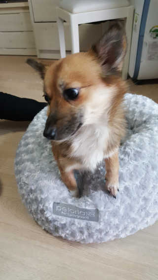 람스마미님이 올린 리뷰 사진 2