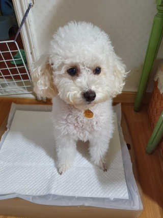 호두맘님이 올린 리뷰 사진 4