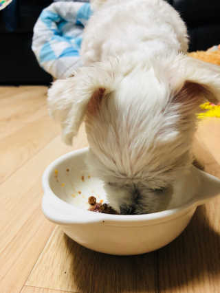 윤도란님이 올린 리뷰 사진 4