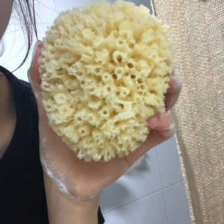 룰라러브 모공관리 끝 지중해산 천연해면 바디스펀지 — 4.33점을 준 리뷰어가 2018년 3월 올린 사용 사진