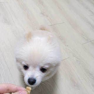옥수수님이 올린 리뷰 사진 4