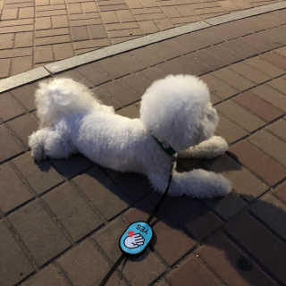 예진쓰님이 올린 리뷰 사진 2