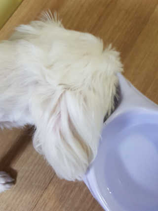 김고양이님이 올린 리뷰 사진 3