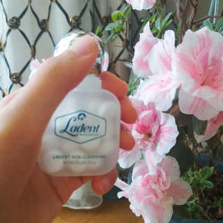 아보카도올리브님이 올린 리뷰 사진 1