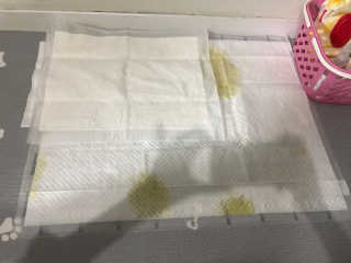 밍크찡님이 올린 리뷰 사진 2