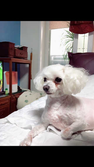 모모님이 올린 리뷰 사진 3