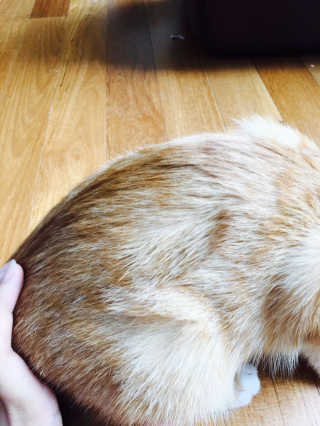 황은지님이 올린 리뷰 사진 3