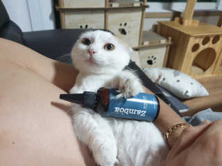 갓수진님이 올린 리뷰 사진 1