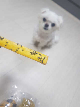 [브루클린펫코] 프리미엄 강아지 수제 쿠키 2종 SET — 4점을 준 리뷰어가 2020년 3월 올린 사용 사진