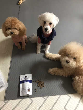 모모맘님이 올린 리뷰 사진 1