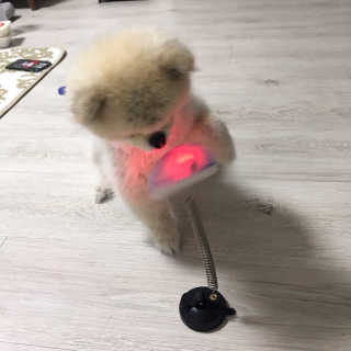 덕구리누나님이 올린 리뷰 사진 2
