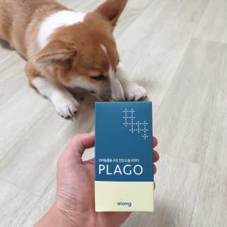 진이맘님이 올린 리뷰 사진 1