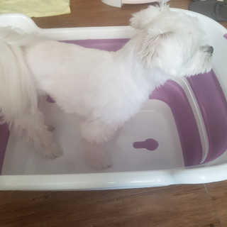 뽀오오옹님이 올린 리뷰 사진 2
