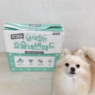 페츠모아 냄새잡는 요술배변패드 — 2점을 준 리뷰어가 2020년 3월 올린 사용 사진
