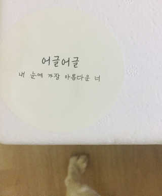 [어글어글] 반려견 친환경 간식 9종 세트 — 4점을 준 리뷰어가 2019년 7월 올린 사용 사진