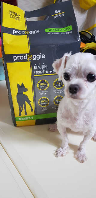 박수인님이 올린 리뷰 사진 2