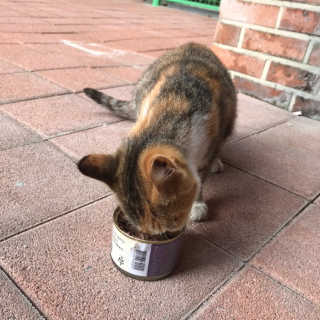 김민선님이 올린 리뷰 사진 2
