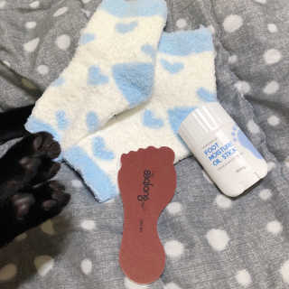 늘봄냥님이 올린 리뷰 사진 1
