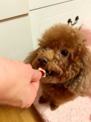 햄찌님이 올린 리뷰 사진 3